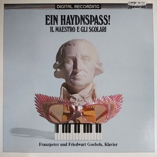 EIN HAYDNSPASS! IL MAESTRO E GLI SCOLARI / Franzpeter und Friedwart Goebels, Klavier